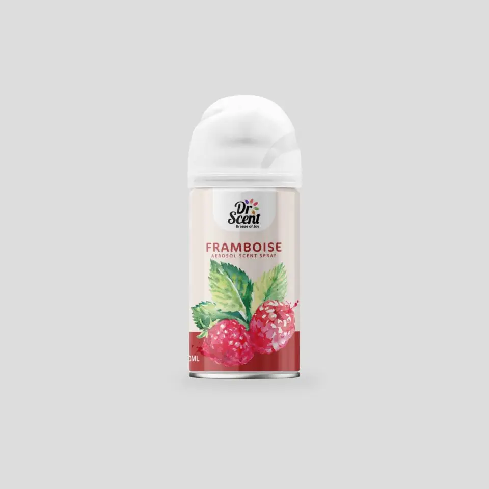 AEROSOL SPRAY DS FRAMBOISE